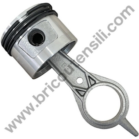 Pistone per Gruppo Pompante Fiac AB 248-338-360