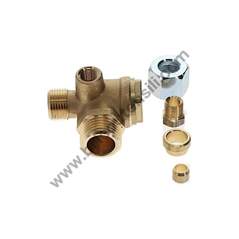 Gruppo Pompante per Compressore a Cinghia A29B BLU