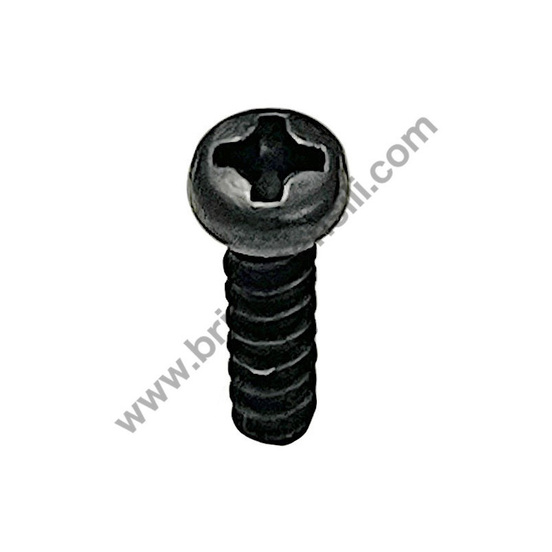 Skil Screw for Planer 1550