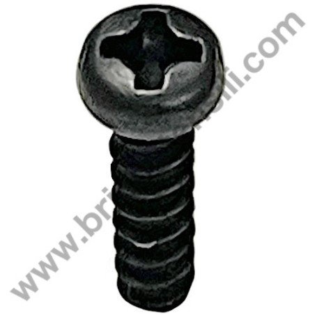 Skil Screw for Planer 1550