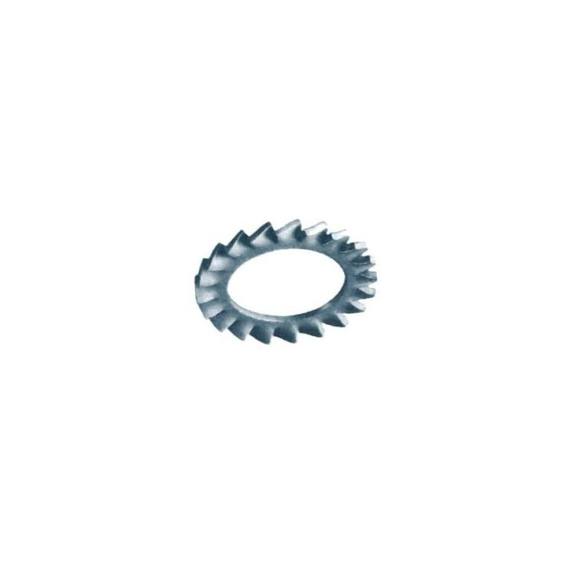Externally serrated lock washer