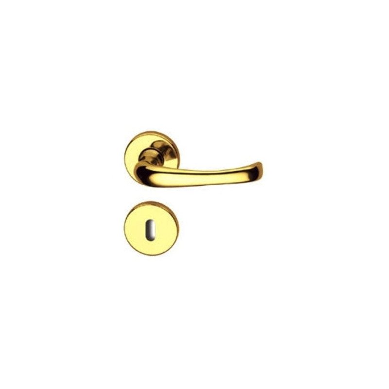 Brass Door Handle with Eschutcheon type Mix