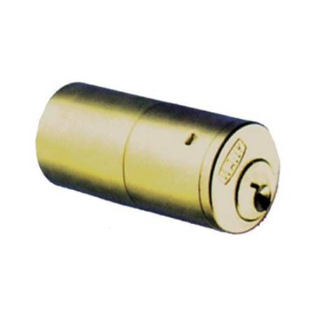 Cylinders-Fixed Barrel Cylinder 54 Wally