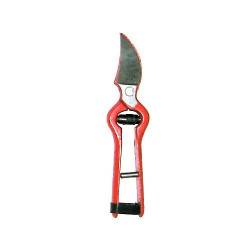 Red Scissors 18cm vineyard Falci