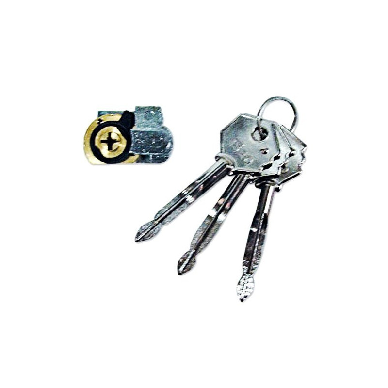 Cylinders-Rim Version Pin Cylinder art.990.87.5 Iseo