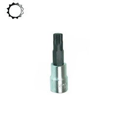 Bussola 1/2'' con Inserto per Viti Impronta XZN 55 mm