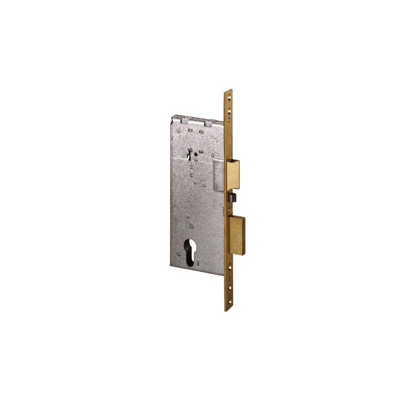 Locks-Electric Lock Mortice Version 12011 Cisa