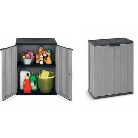 Small Cabinet with 2 Doors