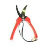 Scissors Pruning Axel Ga0517