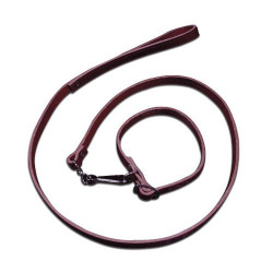Leather Leash for Dog with Collar