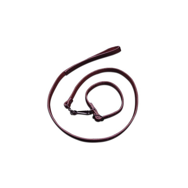 Leather Leash for Dog with Collar