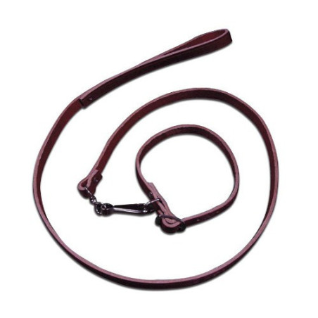 Leather Leash for Dog with Collar