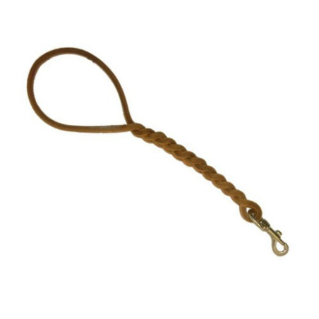 Leather Leash for Dog with Plaits