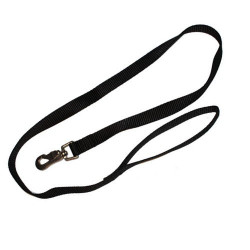 Colored Nylon Leash for Dog