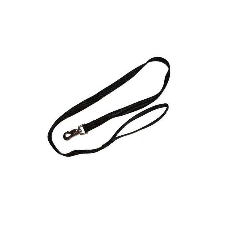 Colored Nylon Leash for Dog