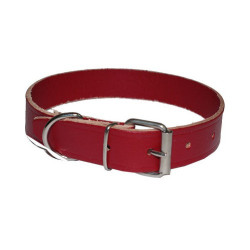 Collare in Cuoio per Cane