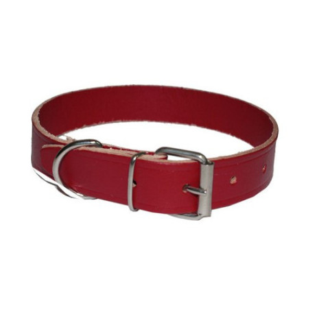 Collare in Cuoio per Cane