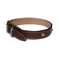 Leather Collar with Studs for Dog