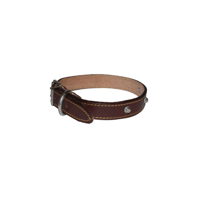 Leather Collar with Studs for Dog