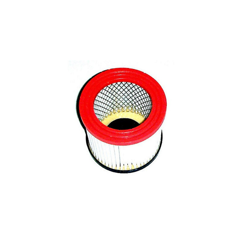 Filtro Hepa per Aspiracenere