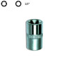 Female Torx Socket 1/2''