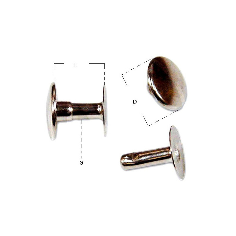 Rivetti Maschi e Femmine