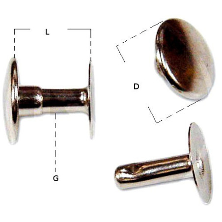 Rivetti Maschi e Femmine