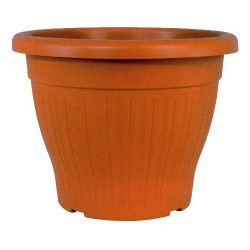 Flower Pot