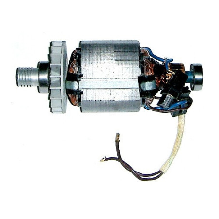 Motore Elettrico Completo per Pialletto Axel FU20290