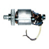 Motore Elettrico Completo per Pialletto Axel FU20290