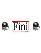 Gruppi Pompanti Fini Air Compressors