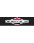 Briggs & Stratton Spare Parts