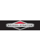 Briggs & Stratton Engines