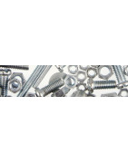 Bulloneria Viteria Pitoneria