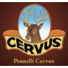 CERVUS INDUSTRIA PENNELLI sas