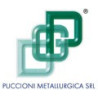 Puccioni Metallurgica S.r.l.