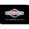 Briggs & Stratton